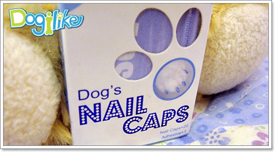 Dogilike.com :: Review Dogs Nail Caps ͡Ѻͧ