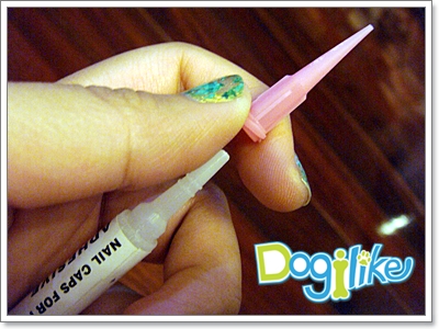 Dogilike.com :: Review Dogs Nail Caps ͡Ѻͧ