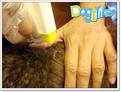 Dogilike.com :: REVIEW : ӨѴ Pet Pest Spray Plus