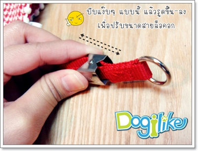 Dogilike.com :: REVIEW : ¨٧ + Ѵ͡ Ҩҡ
