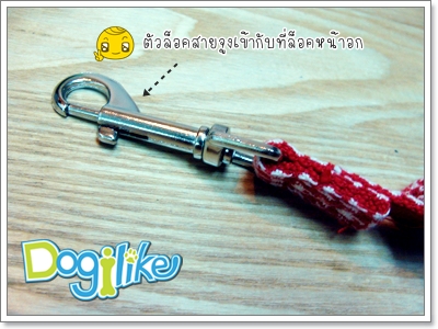 Dogilike.com :: REVIEW : ¨٧ + Ѵ͡ Ҩҡ