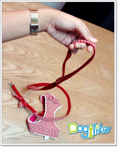 Dogilike.com :: REVIEW : ¨٧ + Ѵ͡ Ҩҡ