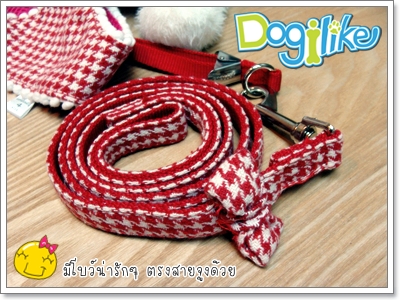 Dogilike.com :: REVIEW : ¨٧ + Ѵ͡ Ҩҡ