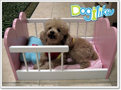 Dogilike.com :: REVIEW : §ͧ sweet memory classic