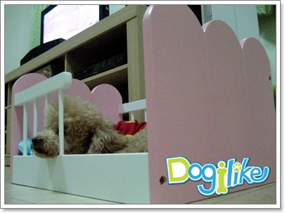 Dogilike.com :: REVIEW : §ͧ sweet memory classic