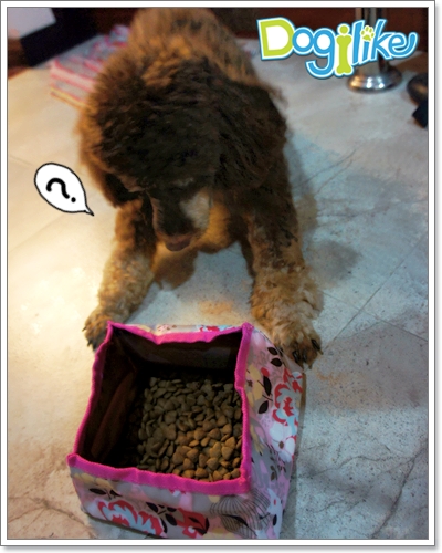 Dogilike.com :: REVIEW : ชามอาหารสุนัขสำหรับพกพา