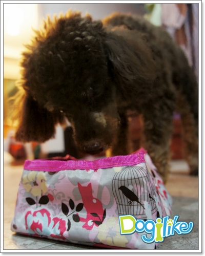 Dogilike.com :: REVIEW : ชามอาหารสุนัขสำหรับพกพา