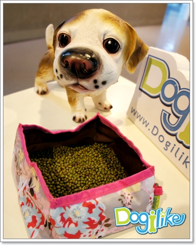 Dogilike.com :: REVIEW : ชามอาหารสุนัขสำหรับพกพา