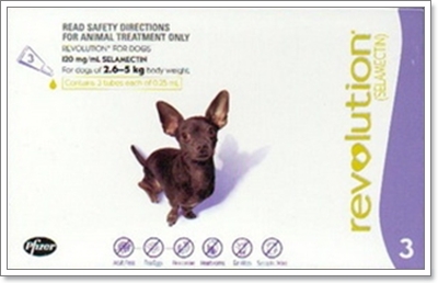 Dogilike.com :: ´ӨѴѴ