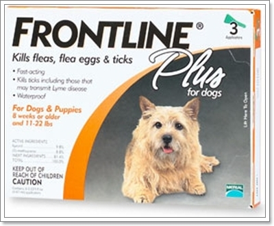 Dogilike.com :: ´ӨѴѴ