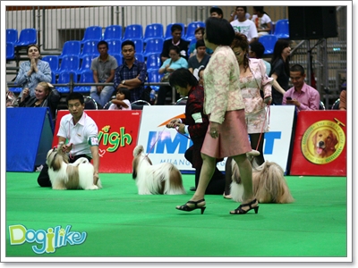 Dogilike.com :: ҡ  FCI Dog Show 2010