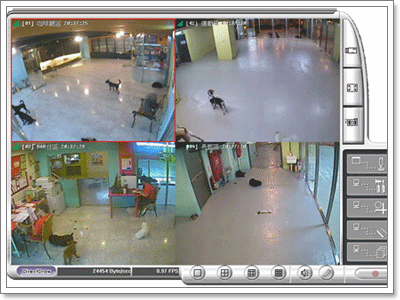 Dogilike.com :: โรงแรมของน้องหมา Dogilike.com :: โรงแรมของน้องหมา