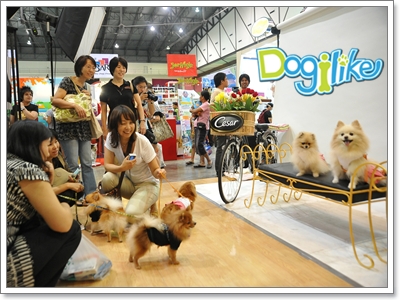 Dogilike.com ::  Dog Expo ҧ  Ҵٺҡȡѹ