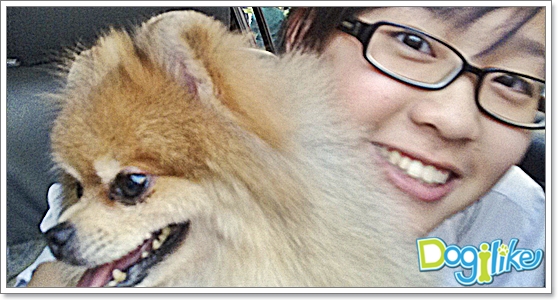 Dogilike.com :: ôŻ¹ (Ѻͧ)
