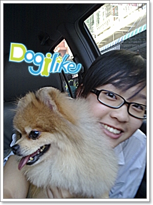 Dogilike.com :: การดูแลปอมเมอเรเนียน (ฉบับน้องแพรว) Dogilike.com :: การดูแลปอมเมอเรเนียน (ฉบับน้องแพรว)
