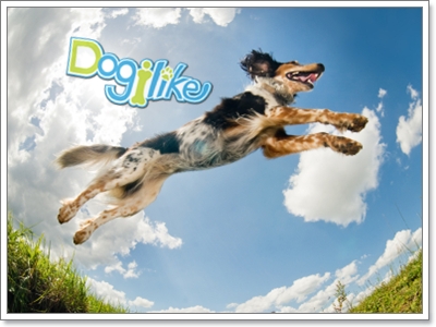 Dogilike.com :: ֡ҡⴴ(ҡ)