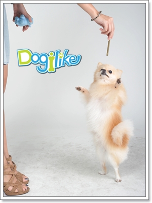 Dogilike.com :: ý֡ ѺѴ§