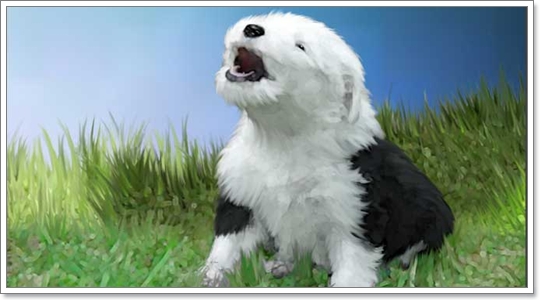 Dogilike.com :: ŴԧԪջ͡ ͧ͹ͧСѹ?