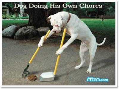 Dogilike.com :: ҹͧջª