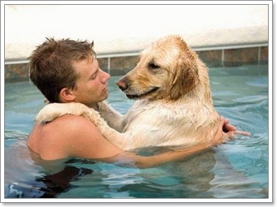 Dogilike.com :: ҹͧջª