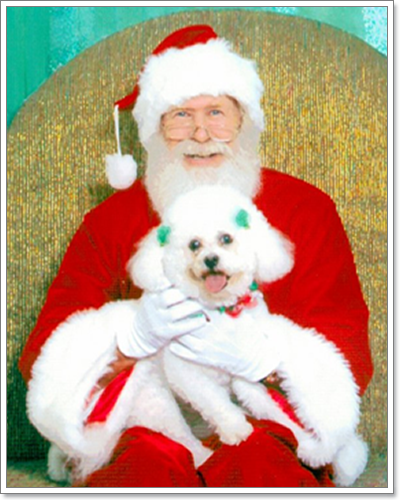 Dogilike.com :: ῪÑè¹¹èÒÃÑ¡æ Merry X Mas Dogilike.com :: ῪÑè¹¹èÒÃÑ¡æ Merry X Mas