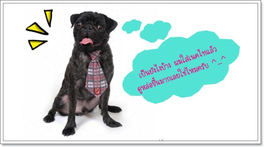 Dogilike.com :: ๤ش^_^