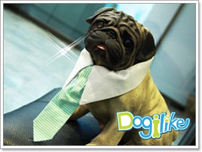 Dogilike.com :: ๤ش^_^