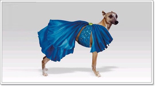 Dogilike.com :: �ش�ҵ���ش���� 