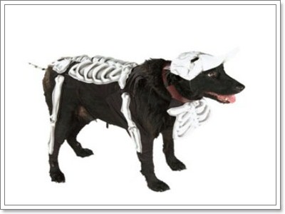 Dogilike.com :: ͹Ѻ Halloween