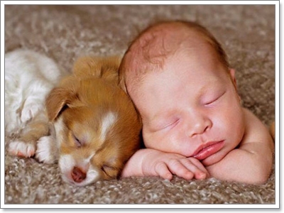 Dogilike.com :: ���Ҿ��������ѡ�����ҧ˹ٹ��¡Ѻ��ͧ���