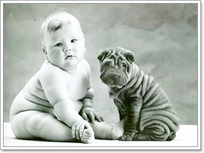 Dogilike.com :: ���Ҿ��������ѡ�����ҧ˹ٹ��¡Ѻ��ͧ���