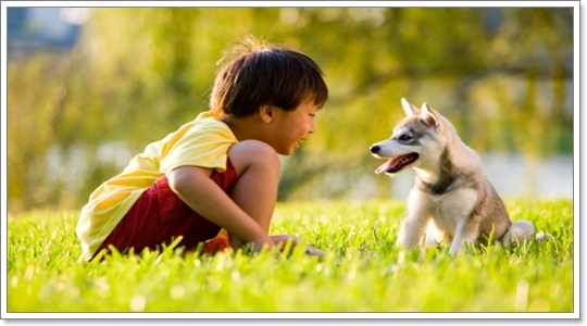 Dogilike.com :: ���Ҿ��������ѡ�����ҧ˹ٹ��¡Ѻ��ͧ���