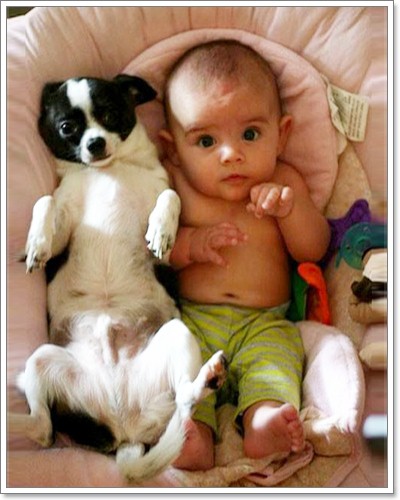 Dogilike.com :: ���Ҿ��������ѡ�����ҧ˹ٹ��¡Ѻ��ͧ���