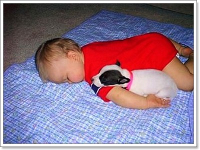 Dogilike.com :: ���Ҿ��������ѡ�����ҧ˹ٹ��¡Ѻ��ͧ���