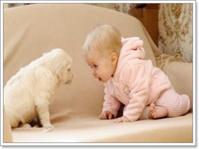 Dogilike.com :: ���Ҿ��������ѡ�����ҧ˹ٹ��¡Ѻ��ͧ���