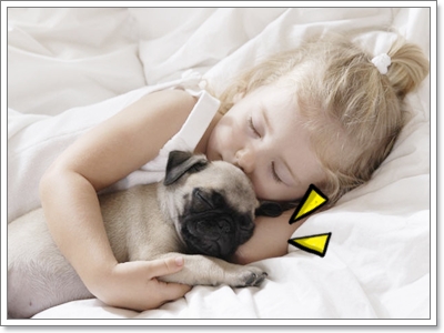 Dogilike.com :: ���Ҿ��������ѡ�����ҧ˹ٹ��¡Ѻ��ͧ���