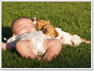 Dogilike.com :: ���Ҿ��������ѡ�����ҧ˹ٹ��¡Ѻ��ͧ���