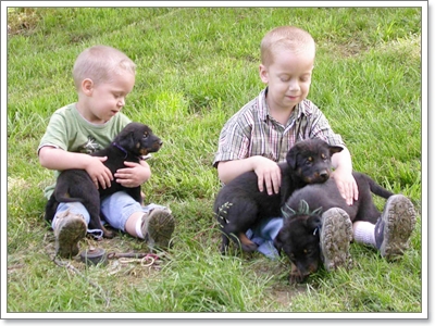 Dogilike.com :: ���Ҿ��������ѡ�����ҧ˹ٹ��¡Ѻ��ͧ���