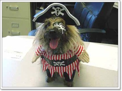 Dogilike.com :: Pirate Dog ͹ͧѴ!