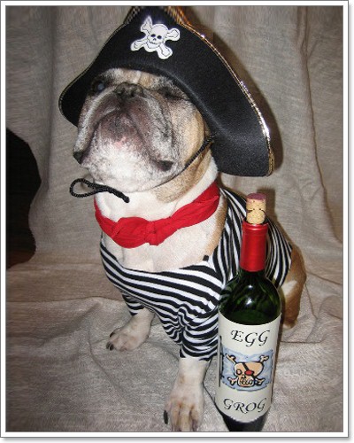 Dogilike.com :: Pirate Dog ͹ͧѴ!