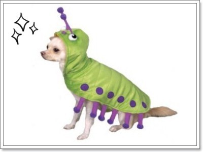 Dogilike.com :: Ὺ���ǹ�ѵ�����Ңͧ��ͧ��� 