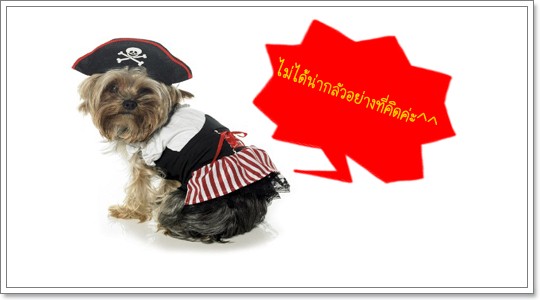 Dogilike.com :: Pirate Dog ͹ͧѴ!