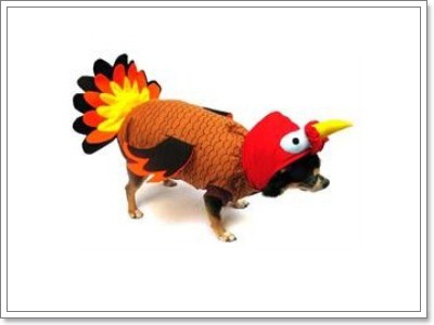 Dogilike.com :: Ὺ���ǹ�ѵ�����Ңͧ��ͧ��� 