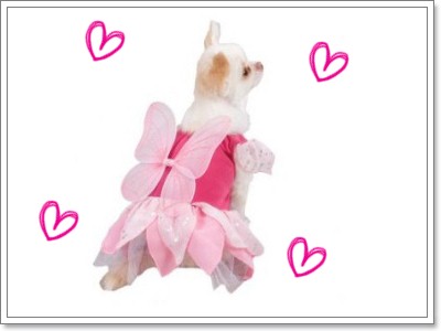 Dogilike.com :: Ὺ���ǹ�ѵ�����Ңͧ��ͧ��� 