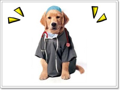 Dogilike.com :: ไปหาหมอกันเถอะ Dogilike.com :: ไปหาหมอกันเถอะ