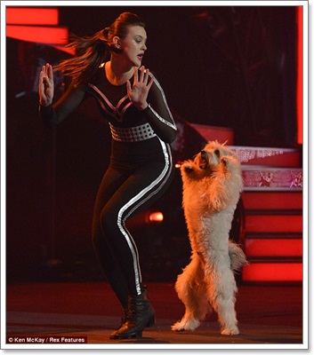 Dogilike.com :: ͧ俪Ƿ Britain Got Talent 2012