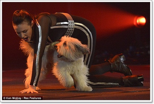 Dogilike.com :: ͧ俪Ƿ Britain Got Talent 2012
