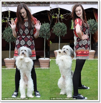 Dogilike.com :: ͧ俪Ƿ Britain Got Talent 2012