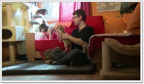 Dogilike.com :: ٺ㨴Ѻ§١ٻҶ١