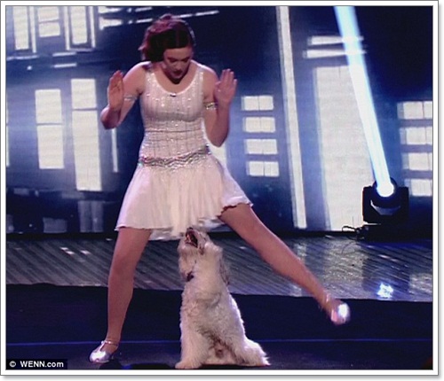Dogilike.com :: ͧͺԧ Britains Got Talent 2012